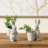 Bunny Pot (Set of 2) 5.75"H, 6"H Resin