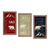 Ski Pass Plaque (Set of 3) 11.25"L x 20.75"H Wood