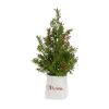 Potted Tree (Set of 2) 14.25"H, 16.5"H Plastic