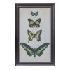 Framed Butterfly Print (Set of 2) 11.25"L x 18.25"H Wood/Glass