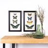 Framed Butterfly Print (Set of 2) 11.25"L x 18.25"H Wood/Glass