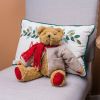 Teddy Bear w/Coat 14"H Polyester