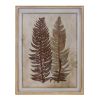 Fern Print in Frame (Set of 6) 19.5"L x 25.75"H Wood/MDF