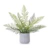 Potted Fern (Set of 2) 14.5"H Plastic