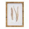 Framed Fern Print (Set of 4) 17.75"SQ Wood/MDF/Glass