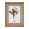 Protea Print (Set of 2) 13.5"L x 17"H Wood/MDF