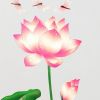 Elegant Miss Lotus - Wall Decals Stickers Appliques Home Dcor