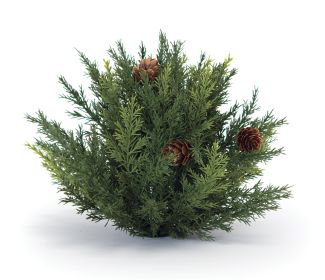 Arborvitae Half Orb Plastic (Option: 6.5" - Set of 2)