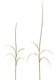 Artificial Foxtail Stems, Sprays, Bushes (Option: 6pc Green 39"/52")