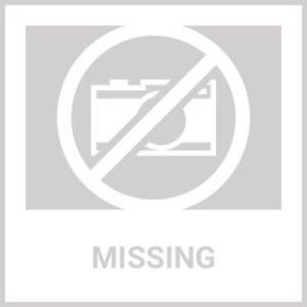 Pitcher Terra Cotta (size: 10.5")