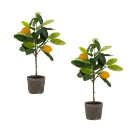 Potted Tree Topiary (Option: 2pc Lemon 19.5")
