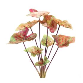 Caladium Bush (Set of 6) 18.5"H Polyester (Option: Pink, Green)