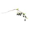 Artificial Foliage & Flowers - Hanging Vines