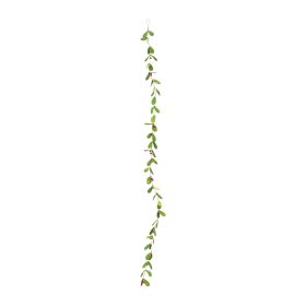 Garland (Set of 2) 6'L (Option: Mistletoe)