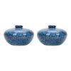 Glossy Blue Speckled Ceramic Vase (Set of 2)
