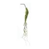 Artificial Foliage & Flowers - Hanging Vines
