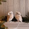 Feathered Owl Figurine Foam