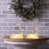 Deer w/LED Light (Set of 2) Resin 2 AAA Batteries, Not Included