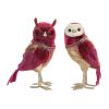 Feathered Owl Figurine Foam