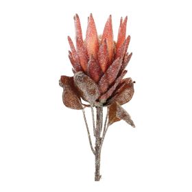 Protea Stem (Set of 2) 29"H Polyester (Option: Red, Orange)