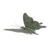 Butterfly 12.5"L x 10.5"W x 1.5"H Iron