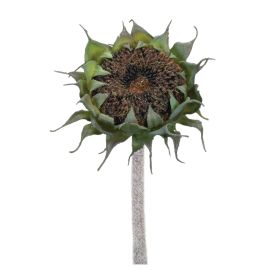 Sunflower Stem (Set of 6) 23.5"H Polyester/Plastic (Option: Black, Green)