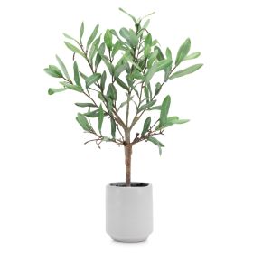 Potted Tree Topiary (Option: 17.5" Olive/White Pot)