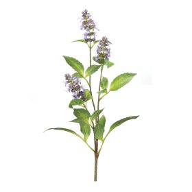 Buddleia Stem (Set of 6) 29"H Polyester (Option: Purple, Green)