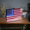 Flag Infinity Light 23"L x 15.5"H UL Plug