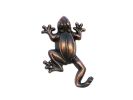 Decorative Frog Hook 6"