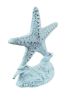 Cast Iron Starfish Door Stopper 11"