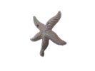 Cast Iron Wall Mounted Decorative Metal Starfish Hook 4'