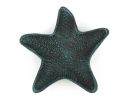 Cast Iron Starfish Decorative Bowl 8"