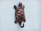 Metal Wall Mounted Turtle Hook 6"