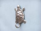 Metal Wall Mounted Turtle Hook 6"